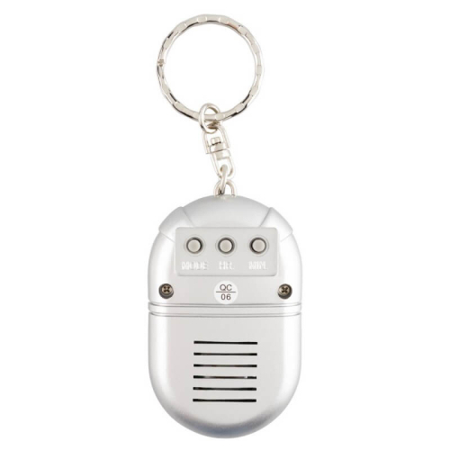 Preview: Sprechender Schlüsselanhänger Keychain