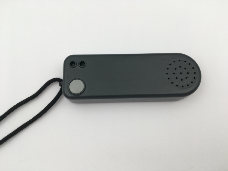 Orologio parlante Slim Combivox